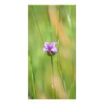 Blank Photo Card, Wildflower photo cards