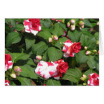 Blank Pink Flowers Card