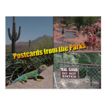 Blank Postcard