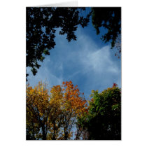 Blank_Red, Yellow, Green Sky Roof Greeting Cards