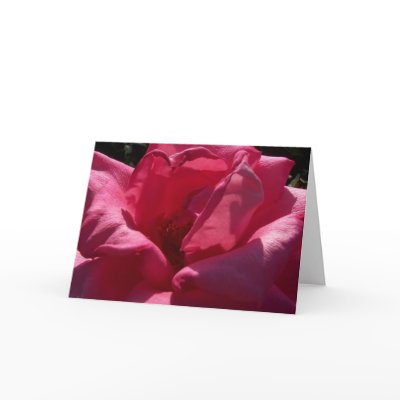 Blank Rose Greeting Card by anitahavel