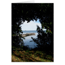 Blank_Tree Window Lake View Card