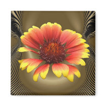 Blanket Flower ~ magnet