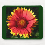 blanket flower mousepads