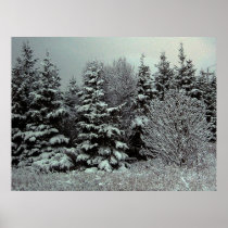 Blanket Of Snow Poster