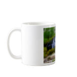 blarghour Waterfall at Barr-Beithe on All... Mug