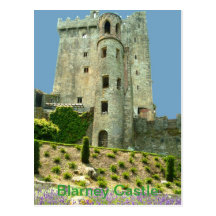 Blarney Castle County Cork Post Card