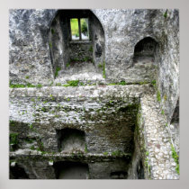 Blarney Castle Interior Posters