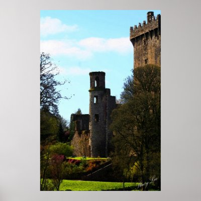 Blarney Castle, Ireland Print by Sh00p1981