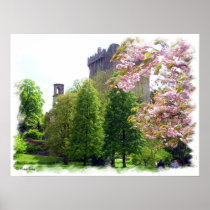 Blarney Castle Spring Print