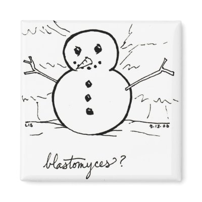 Blastomyces magnet by bio_muse