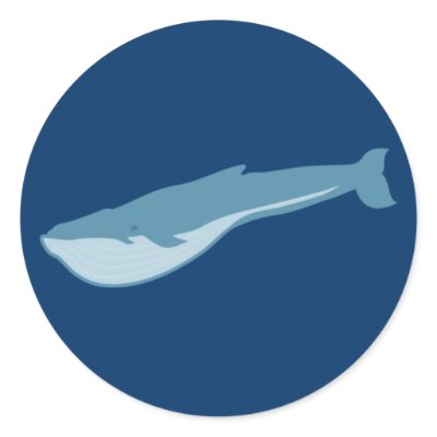 Blauwal blue whale runde aufkleber by hera56