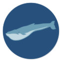 Blauwal blue whale stickers
