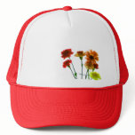 blaze of color hats