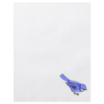 Blazer Blue Jay flyers