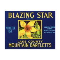 Blazing Star Pears Post Cards