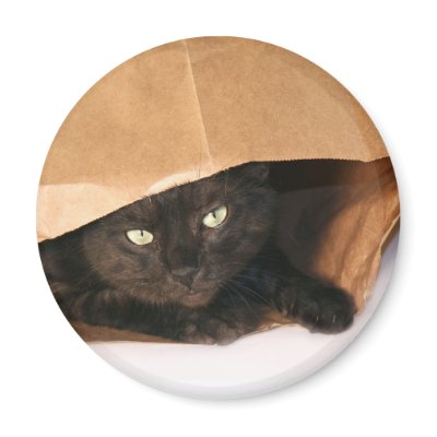 Blck cat in a bag magnet by deemac1