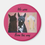 Bleached Or Palomino? Fridge Magnets