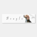 Bleagle Bumper Stickers