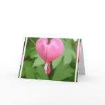 Bleeding Heart Blossom Greeting Card