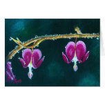 Bleeding Heart