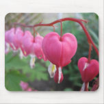 Bleeding Heart (Dicentra) Mouse Pads