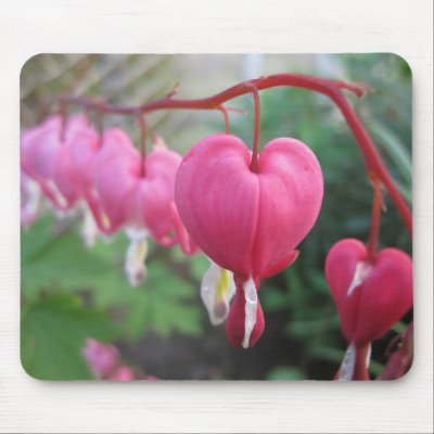 Bleeding Heart (Dicentra) Mouse Pads by scarletfox