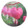Bleeding Heart (Dicentra) Sticker