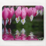 bleeding heart flower mousepad