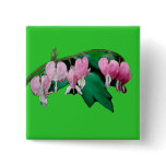 Bleeding Heart Flowers