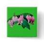 Bleeding Heart Flowers