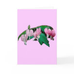 Bleeding Heart Flowers