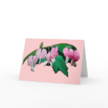 Bleeding Heart Flowers