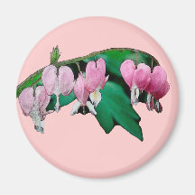 Bleeding Heart Flowers Fridge Magnet