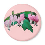 Bleeding Heart Flowers