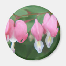 Bleeding Heart Magnet