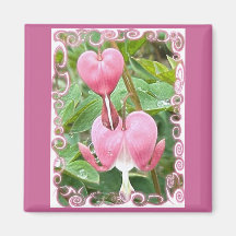 Bleeding Heart Magnet