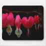 Bleeding Heart Mouse Pad
