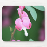 Bleeding Heart Mouse Pad