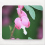 Bleeding Heart Mouse Pad