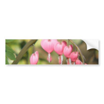 Bleeding Heart Perennials Bumper Sticker