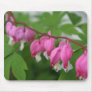 Bleeding Heart usepad