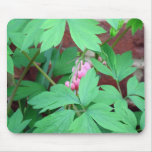 Bleeding Hearts Family Mousepads