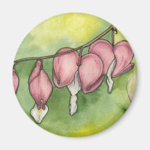 Bleeding Hearts Fridge Magnets