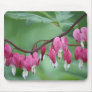Bleeding Hearts Mousepad