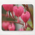 Bleeding Hearts Picture Mouse Pad