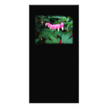 Bleeding Hearts. Pink Flowers. Custom photo cards