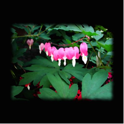 Bleeding Hearts. Pink Flowers. Photo Cutouts by PsyborgAli