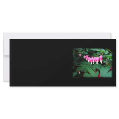 Bleeding Hearts. Pink Flowers. Customized Rack Card by PsyborgAli