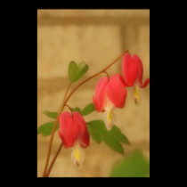 Bleeding Hearts print
